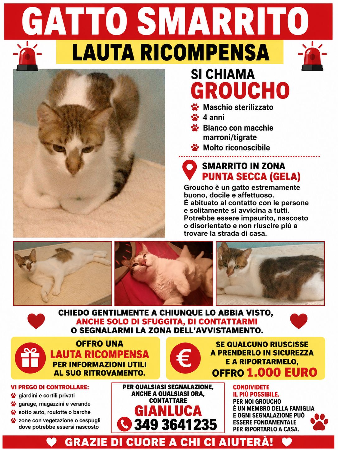 Foto aggiuntiva di Groucho